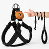Adjustable Nylon Dog Harness with Leash Option