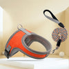Small Dog Harness and Leash Set
