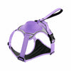 Pet Harness Vest with Leash