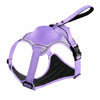 Pet Harness Vest with Leash