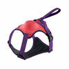 Pet Harness Vest with Leash