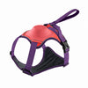 Pet Harness Vest with Leash
