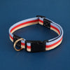 Adjustable Canvas Pet Collar