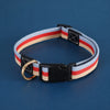 Adjustable Canvas Pet Collar