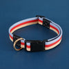 Adjustable Canvas Pet Collar