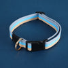 Adjustable Canvas Pet Collar