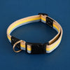 Adjustable Canvas Pet Collar