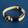 Adjustable Canvas Pet Collar