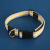 Adjustable Canvas Pet Collar