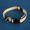 Adjustable Canvas Pet Collar