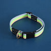 Adjustable Canvas Pet Collar