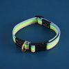 Adjustable Canvas Pet Collar