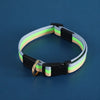Adjustable Canvas Pet Collar