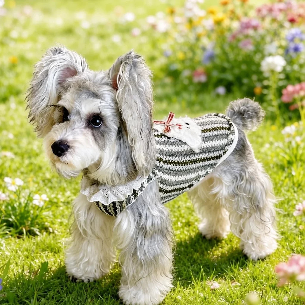 Lightweight Dog Graphic Pet Shirt for Cats and Dogs
