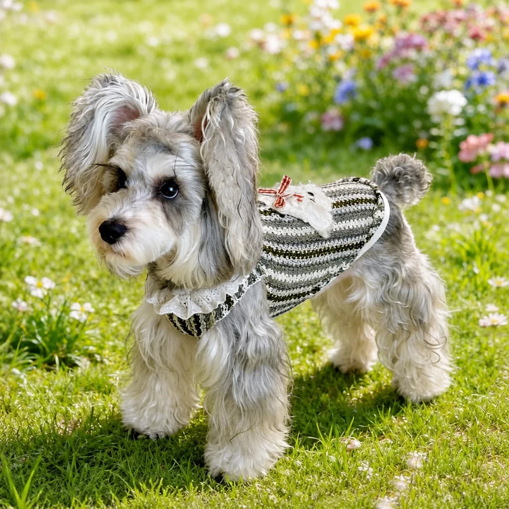 Lightweight Dog Graphic Pet Shirt for Cats and Dogs