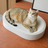 Corrugated Cardboard Cat Scratcher Lounge