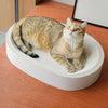 Corrugated Cardboard Cat Scratcher Lounge