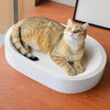 Corrugated Cardboard Cat Scratcher Lounge