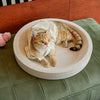 Corrugated Cardboard Cat Scratcher Lounge