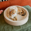 Corrugated Cardboard Cat Scratcher Lounge