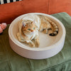 Corrugated Cardboard Cat Scratcher Lounge