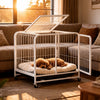 Heavy-Duty Iron Dog Crate with Bottom Tray