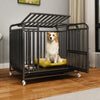 Heavy-Duty Iron Dog Crate with Bottom Tray