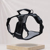 Nylon Dog Walking Harness