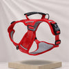 Nylon Dog Walking Harness