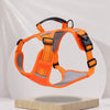 Nylon Dog Walking Harness