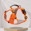 Nylon Dog Walking Harness