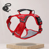 Nylon Dog Walking Harness