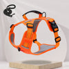 Nylon Dog Walking Harness