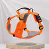 Nylon Dog Walking Harness