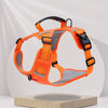 Nylon Dog Walking Harness