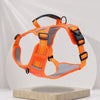 Nylon Dog Walking Harness