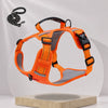 Nylon Dog Walking Harness