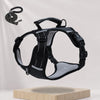Nylon Dog Walking Harness