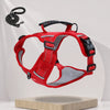 Nylon Dog Walking Harness