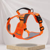 Nylon Dog Walking Harness
