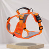 Nylon Dog Walking Harness