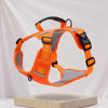 Nylon Dog Walking Harness