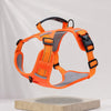 Nylon Dog Walking Harness