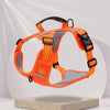 Nylon Dog Walking Harness