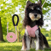 X-Style Dog Harness and Leash Set