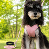 X-Style Dog Harness and Leash Set