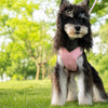 X-Style Dog Harness and Leash Set