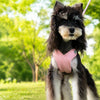 X-Style Dog Harness and Leash Set