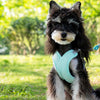 X-Style Dog Harness and Leash Set