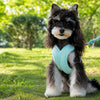 X-Style Dog Harness and Leash Set